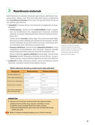 832926 _ 0046-0063.qxd    21/2/08    13:13     Página 51




          3       Koordinazio-sistemak
        Izaki bizidunek era askotako funtzioak egiten dituzte aldi berean: hazi,
        arnasa hartu, elikatu, etab. Hori dena egin ahal izateko, ezinbestekoa
        dute koordinazio-sistemaren bat izatea, lan guztiak behar bezala eta
        une egokian egin daitezen.
        • Animaliek bi sistema dituzte, bizi-funtzioak erregulatzeko eta koor-
          dinatzeko:
          – Nerbio-sistema. Sistema horrek nerbio-bulkaden bidez erregula-
            tzen eta koordinatzen ditu organismoaren funtzioak. Erantzun
            azkarrak eta iraupen laburrekoak behar dituzten funtzioak kontro-
            latzen ditu.
            Nerbio-sistema neuronaz osatuta dago. Eta zer dira neuronak? Bada,
            informazioa nerbio-bulkada gisa helarazten berezitutako zelulak.
            Nerbio-bulkadak intentsitate txikiko korronte elektrikoak dira,
            eta nerbioetan zehar informazioa eramaten dute.                                  Inguruan harrapariak daudela
          – Sistema endokrinoa. Sistema horrek substantzia kimikoak sortuz                   hautemandakoan, harrapakinak
            erregulatzen eta koordinatzen ditu funtzioak. Erantzun motelak                   lasterka hasten dira. Bizirik iraungo
                                                                                             badute, garrantzi handikoa da
            baina iraunkorrak behar dituzten funtzioak kontrolatzen ditu.                    koordinazio-sistema bizkorrak
            Sistema endokrinoa guruin endokrinoz osatuta dago. Guruin horiek                 eta eraginkorrak izatea.
            hormona izeneko substantzia kimikoak sortzen dituzte, eta gero,
            odolera isurtzen, hartan nahasita organismoan zehar joan daitezen.
        • Landareek zenbait substantzia kimiko sortuz koordinatzen dituzte
          funtzioak, animalien sistema hormonalaren antzera.

             Nerbio-sistemaren eta sistema endokrinoaren arteko alderaketa

               Ezaugarriak               Nerbio-sistema         Sistema endokrinoa

         Zer bide erabiltzen du      Nerbioak                  Odola

         Zeren bidez helarazten du   Nerbio-bulkadak           Hormonak

         Erantzunaren lastertasuna Azkarra                     Motela


         Erantzunaren iraupena       Laburra                   Iraunkorra

                                                               Erantzun iraunkorrak
                                     Erantzun azkarrak behar
         Zer funtzio erregulatzen                              behar dituztenak; adibidez,
                                     dituztenak; adibidez,
         eta koordinatzen ditu                                 hazkuntza, garapena
                                     lokomozioa.
                                                               eta metabolismoa.



          ARIKETAK
          7. Adierazi zer koordinazio-sistema aritzen den egoera hauetan:
             a) Eskua sutara hurbildu dugu, eta gero, berehala, urrundu.
             b) Odoleko azukre kantitate egokia izan dadin zaintzea.
             c) Kale bat zeharkatzekotan gara, baina auto bat datorrela ikusita,
                gelditu egin gara.
          8. Bilatu Funtsezko kontzeptuak atalean guruin hitzaren esanahia.




                                                                                                                                     51
 