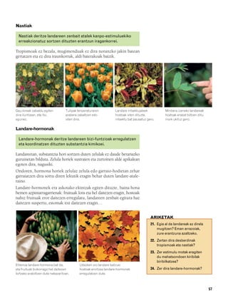 832926 _ 0046-0063.qxd     21/2/08    13:13      Página 57




        Nastiak

          Nastiak deritze landareen zenbait atalek kanpo-estimuluekiko
          erreakzionatuz sortzen dituzten erantzun iragankorrei.

        Tropismoak ez bezala, mugimenduak ez dira noranzko jakin batean
        gertatzen eta ez dira iraunkorrak, aldi baterakoak baizik.




        Gau-loreak zabaldu egiten          Tulipak tenperaturaren           Landare intsektujaleek           Minbera izeneko landareak
        dira iluntzean, eta itxi,          arabera zabaltzen edo            hostoak ixten dituzte,           hostoak erabat biltzen ditu,
        egunez.                            ixten dira.                      intsektu bat pausatuz gero.      inork ukituz gero.

        Landare-hormonak

          Landare-hormonak deritze landareen bizi-funtzioak erregulatzen
          eta koordinatzen dituzten substantzia kimikoei.

        Landareetan, substantzia hori sortzen duten zelulak ez daude berariazko
        guruinetan bilduta. Zelula horiek sustraien eta zurtoinen alde apikalean
        egoten dira, nagusiki.
        Ondoren, hormona horiek zelulaz zelula edo garraio-hodietan zehar
        garraiatzen dira sortu diren lekutik eragin behar duten landare-atale-
        raino.
        Landare-hormonek era askotako ekintzak egiten dituzte, baina hona
        hemen azpimarragarrienak: fruituak lora eta hel daitezen eragin, hostoak
        nahiz fruituak eror daitezen erregulatu, landareen zenbait egitura haz
        daitezen suspertu, estomak itxi daitezen eragin…


                                                                                                    ARIKETAK
                                                                                                    21. Egia al da landareak ez direla
                                                                                                        mugitzen? Eman arrazoiak,
                                                                                                        zure erantzuna azaltzeko.
                                                                                                    22. Zertan dira desberdinak
                                                                                                        tropismoak eta nastiak?
                                                                                                    23. Zer estimulu motak eragiten
                                                                                                        du mahatsondoen kiribilak
                                                                                                        biribilkatzea?
        Etilenoa landare-hormona bat da,             Udazken oro landare batzuei
        eta fruituak bizkorrago hel daitezen         hostoak erortzea landare-hormonek              24. Zer dira landare-hormonak?
        lortzeko erabiltzen dute nekazaritzan.       erregulatzen dute.



                                                                                                                                            57
 