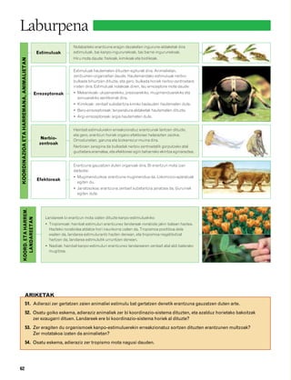 832926 _ 0046-0063.qxd                                       19/4/08     12:41    Página 62




        Laburpena
                                                                        Nolabaiteko erantzuna eragin dezaketen ingurune-aldaketak dira
                                                    Estimuluak          estimuluak, bai kanpo-ingurunekoak, bai barne-ingurunekoak.
                                                                        Hiru mota daude: fisikoak, kimikoak eta biotikoak.
         KOORDINAZIOA ETA HARREMANA, ANIMALIETAN




                                                                        Estimuluak hautematen dituzten egiturak dira. Animalietan,
                                                                        zentzumen-organoetan daude. Hautemandako estimuluak nerbio-
                                                                        bulkada bihurtzen dituzte, eta gero, bulkada horiek nerbio-zentroetara
                                                                        iristen dira. Estimuluak nolakoak diren, lau errezeptore mota daude:
                                                   Errezeptoreak        • Mekanikoak: ukipenarekiko, presioarekiko, mugimenduarekiko eta
                                                                          soinuarekiko sentikorrak dira.
                                                                        • Kimikoak: zenbait substantzia kimiko badauden hautematen dute.
                                                                        • Bero-errezeptoreak: tenperatura-aldaketak hautematen dituzte.
                                                                        • Argi-errezeptoreak: argia hautematen dute.


                                                                        Hainbat estimulurekin erreakzionatuz erantzunak lantzen dituzte,
                                                                        eta gero, erantzun horiek organo efektoreei helarazten zaizkie.
                                                      Nerbio-           Ornodunetan, garuna eta bizkarrezur-muina dira.
                                                     zentroak
                                                                        Nerbioen zeregina da bulkadak nerbio-zentroetatik gorputzeko atal
                                                                        guztietara eramatea, eta efektoreei egin beharreko ekintza eginaraztea.


                                                                        Erantzuna gauzatzen duten organoak dira. Bi erantzun mota izan
                                                                        daitezke:
                                                                        • Mugimenduzkoa: erantzuna mugimendua da. Lokomozio-aparatuak
                                                    Efektoreak
                                                                          egiten du.
                                                                        • Jariatzezkoa: erantzuna zenbait substantzia jariatzea da. Guruinek
                                                                          egiten dute.
                  KOORD. ETA HARREM.




                                                        Landareek bi erantzun mota izaten dituzte kanpo-estimuluekiko:
                    LANDAREETAN




                                                        • Tropismoak: hainbat estimuluri erantzunez landareak norabide jakin batean haztea.
                                                          Hazteko norabidea aldatze hori iraunkorra izaten da. Tropismoa positiboa dela
                                                          esaten da, landarea estimulurantz hazten denean, eta tropismoa negatibotzat
                                                          hartzen da, landarea estimulutik urruntzen denean.
                                                        • Nastiak: hainbat kanpo-estimuluri erantzunez landarearen zenbait atal aldi baterako
                                                          mugitzea.




                               ARIKETAK
                                 51. Adierazi zer gertatzen zaien animaliei estimulu bat gertatzen denetik erantzuna gauzatzen duten arte.
                                 52. Osatu goiko eskema, adieraziz animaliek zer bi koordinazio-sistema dituzten, eta azalduz horietako bakoitzak
                                     zer ezaugarri dituen. Landareek ere bi koordinazio-sistema horiek al dituzte?
                                 53. Zer eragiten du organismoek kanpo-estimuluerekin erreakzionatuz sortzen dituzten erantzunen multzoak?
                                     Zer motatakoa izaten da animalietan?
                                 54. Osatu eskema, adieraziz zer tropismo mota nagusi dauden.




        62
 