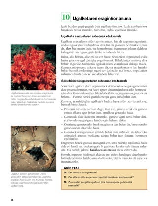 832926 _ 0064-0081.qxd    19/4/08    11:29    Página 76




                                                          10        Ugalketaren eraginkortasuna
                                                          Izaki bizidun guzti-guztiek dute ugalketa-funtzioa. Ez da ezinbestekoa
                                                          banakoek bizirik irauteko, baina bai, ordea, espezieak irauteko.

                                                          Ugalketa asexualaren alde onak eta txarrak
                                                          Ugalketa asexualaren alde txarren artean, hau da azpimarragarriena:
                                                          ondorengoak elkarren berdinak dira, bai eta gurasoen berdinak ere; hau
                                                          da, klon bat eratzen dute, eta horrenbestez, ingurunean edozer aldaketa
                                                          kaltegarri izanez gero, gerta liteke den-denak hiltzea.
                                                          Baina, aldi berean, alde on bat ere badu: beste ezein organismok esku
                                                          hartu gabe ere ugal daitezke organismoak. Bi baldintza baino ez dira
                                                          behar: ingurune-baldintzak egokiak izatea eta nahikoa elikagai izatea.
                                                          Gainera, oso prozesu azkarra izaten da, eta eraginkorra ere bai: banako
                                                          bakar batetik ondorengo ugari sor daitezke, eta beraz, populazioa
                                                          nabarmen handi daiteke, oso denbora laburrean.

                                                          Sexu bidezko ugalketaren alde onak eta txarrak
                                                          Sexu bidez ugaltzen diren organismoek denbora eta energia ugari ematen
                                                          dute prozesu horretan, eta haiek egiten dituzten jarduera asko horrexeta-
        Ugalketa asexuala oso prozesu eraginkorra         rako dira. Gametoak sortzea, bikotekidea bilatzea, organismoa garatzea eta
        da nonbait finko bizi diren animalientzat         heltzea… Funtzio horiek guztiek energia-gastu itzela behar dute.
        nahiz mugikortasun txikikoentzat, horrelakoak
        nekez elkartuko bailirateke, bestela, espezie     Gainera, sexu bidezko ugalketak baditu beste alde txar batzuk ere;
        bereko beste banako batekin.                      besteak beste, hauek:
                                                          – Prozesua zoriaren barruan dago; izan ere, gameto arrak eta gameto
                                                             emeak elkartu egin behar dute, ernalketa gertatuko bada.
                                                          – Gametoak elkar daitezen errazteko, gameto ugari sortu behar dira,
                                                             eta horrek energia-gastu handia egin beharra dakar.
                                                          – Gutxienez gametoetako batek mugikarra izan behar du, beste sexuko
                                                             gametoarekin elkartuko bada.
                                                          – Gametoek ur-ingurunean ernaldu behar dute, nahitaez; eta lehorreko
                                                             animaliek zenbait moldaera garatu behar izan dituzte, horretara
                                                             egokitzeko.
                                                          Eragozpen horiek guztiak izanagatik ere, sexu bidezko ugalketak badu
                                                          alde on handi bat: ondorengoek bi gurasoen karaktereak dituzte naha-
                                                          sita. Eta horrek, jakina, banakoen aniztasun itzela sortzen du.
                                                          Horrela, ingurune-baldintzak aldatuta ere, aukera handiagoa dago banako
                                                          batzuek behintzat haiek jasan ahal izateko, bizirik irauteko eta espeziea
                                                          iraunarazteko.

                                                            ARIKETAK
                                                            26. Zer helburu du ugalketak?
        Ugaztun gehien-gehienetan, urteko
        garai jakin batean gertatzen da ugalketa:           27. Zer alde on ditu espezie ororentzat banakoen aniztasunak?
        araldian, hain zuzen ere. Kumeak, horrela,
        elikagai-ugaritasuneko garai jakinetan              28. Zure ustez, zergatik ugaltzen dira hain espezie gutxi soilik
        jaiotzen dira.                                          asexualki?




        76
 