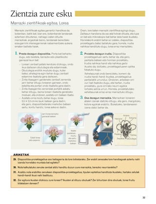 832926 _ 0064-0081.qxd   19/4/08          11:29    Página 77




        Zientzia zure esku
        Marrazki zientifikoak egitea. Lorea
           Marrazki zientifikoak egitea garrantzi handikoa da;                  Orain, lore baten marrazki zientifikoa egingo dugu.
           botanikan, batik bat. Izan ere, botanikariek landareak               Zailtasun handiena da oso atal txikiak dituela, eta lupa
           aztertzen dituztenez, nahiago izaten dituzte                         on bat edo mikroskopio bat behar dela haiek ikusteko.
           marrazkiak, argazkiak baino, landareak bereizteko                    Horrelakorik erabili behar ez izateko, diapositiba-
           ezaugarririk interesgarrienak nabarmentzeko aukera                   proiektagailu batez baliatuko gara; horrela, irudia
           ematen baitiete haiek.                                               nahikoa handituko dugu, lorea erraz marrazteko.

           1. Presta dezagun diapositiba. Porta bat beharko                     2. Proiekta dezagun irudia. Diapositiba
               dugu, edo bestela, beirazko edo plastikozko                         proiektagailuan sartu behar da, eta gero,
               gainazal leun bat:                                                  pantaila batean edo horman proiektatu.
               – Loreari zenbait petalo kenduko dizkiogu, ondo                     Irudia nahikoa handi eta nahikoa garbi
                 ikus daitezen obulutegia eta estamineak.                          ikusiko da; doitzeko, proiektagailuaren optika
               – Obulutegia erditik moztuko dugu, kuter                            fokatuko dugu.
                 batez; ahalegina egin behar dugu zenbait                          Xehetasunak ondo bereizteko, komeni da
                 estamine itsatsita gera daitezen.                                 irudia handi-handi ikustea, proiektagailua
               – Zinta itsasgarri gardeneko zenbait zerrenda                       pantailatik urrunduz. Ondoren, arbelean orri
                 jarri behar ditugu lorearen gainean, ondo                         zuri bat itsatsiko dugu, eta hartan, irudia
                 estalita eta portari ondo itsatsita gera dadin.                   proiektatu, gure orrirako neurri egokia
               – Zinta itsasgarriko zerrendak portatik askatu                      lortzeko adina urrun. Horrela, proiektatutako
                 behar ditugu, baina loreari itsatsita geratzeko                   xehetasunak erraz-erraz marraztuko ditugu.
                 moduan, eta ondoren, azetato-orri batean itsatsi.
               – Azetato-orria moztu behar dugu, lorea                          3. Osa dezagun marrazkia. Marrazkian lorearen
                 3,5 ϫ 3,5 cm-ko lauki batean gera dadin;                          atalen izenak idatziko ditugu, eta gero, margotuko,
                 eta gero, diapositibetarako markotxo batean                       kolore egokiak erabiliz. Bukatzeko, landarearen
                 sartu, kontu handiz, lorea aska ez dadin.                         izena idatzi behar da.

                                           Jarri lorea beirazko
                                           gainazal batean                                                                 Antera
                                                                                                                Harizpia         Estigma




                                                                      Itsatsi
                                                                  azetatoan,                                    Petaloa
                                                                      moztu                                                       Estiloa
                           Estali lorea                            eta sartu                                      Sepaloa     Obulutegia
                         zelo-paperez                              markotxo
                                                                     batean




          ARIKETAK
          29. Diapositiba-proiektagailua oso baliagarria da lore txikietarako. Zer erabil zenezake lore handiagoak aztertu nahi
              izanda horrelako muntaia bat egiteko?
          30. Nola kalkulatuko zenuke zenbat aldiz handitu duzun zure marrazkia, berezko neurriarekiko?
          31. Azaldu nola erabiliko zenukeen diapositiba-proiektagailua, tipulen epitelioa handituta ikusteko, hartako zelulak
              handi-handi ikusi nahi badituzu.
          32. Zer egitura ikusten dizkiozu zure loreari? Ikusten al dituzu obuluak? Zer bihurtzen dira obuluak, lorea fruitu
              bilakatzen denean?




                                                                                                                                            77
 