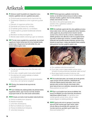 832926 _ 0064-0081.qxd     6/5/08   09:47   Página 78




        Ariketak
        33. ● Adierazi esaldi hauetatik zein dagozkion sexu           38. ●●● Partenogenesia ugalketa mota bat da;
            bidezko ugalketari eta zein ugalketa asexualari.              hartan, ez da beharrezkoa obulua ernaldua izatea.
             a) Ondorengoak gurasoaren berdin-berdinak dira.              Zenbait intsektu ugaltzen dira horrela; adibidez,
                                                                          erleak, liztorrak eta inurriak.
             b) Substratuari itsatsita bizi diren organismo guztiek
                dute.                                                     Zer alde on ditu partenogenesiak, sexu
             c) Eskuarki, bi organismo aritzen dira.                      bidezko ohiko ugalketaren aldean?
                                                                          Eta zer alde txar?
             d) Gametoak sortu behar dira, nahitaez.
             e) Ernalketak gertatu behar du, ezinbestean.             39. ●●● Armadiloak ugaztunak dira, eta ugalketa-prozesu
             f) Ondorengoek bi gurasoen karaktereak nahasita              bitxia izaten dute: enbrioia, garapeneko lehen faseetan,
                dituzte.                                                  zatitu egiten da, eta zenbait enbrioi berdin-berdin
             g) Banakoen aniztasuna eragiten du.                          sortzen dira; enbrioi horiek, ondoren, bakoitza bere
             h) Banako bakar batetik ondorengo ugari sor daitezke.        aldetik garatzen dira. Berrehun eta hirurogeita hamar
                                                                          eguneko ernaldia egin ondoren, umealdi bakoitzean
        34. ●● Teniak zizare zapalak dira, parasitoak, eta zenbait        bederatzi eta hamaika banako bitartean jaiotzen dira,
            ugaztunen heste meharrean bizi dira; besteak beste,           denak ere azal bigun, malgu eta elastiko batez estalita;
            gizakionean. Organismo hermafroditak dira, eta                aste gutxiren buruan, gogortu egiten zaie.
            autoernalketa egiten dute.




                                                                          a) Zer ugalketa mota dute armadiloek?
             a) Teniak hermafroditak omen dira. Zer esan nahi             b) Zure ustez, enbrioi bakar batetik sortzen diren
                du horrek?                                                   armadilo horiek guztiak sexu berekoak izaten al dira?
             b) Zure ustez, zergatik egiten dute autoernalketa?           c) Ba al dago beste animalia ornodunen bat,
             c) Zer alde txar ditu autoernalketak, ernalketa                 armadiloek duten prozesu horren antzekoa duenik?
                gurutzatuaren aldean?
             d) Hermafroditismoa nahiko arrunta da landareetan.       40. ●● Animalia batzuetan, bai emeek, bai arrek gameto
                Zure iritziz, zein da horren zergatia?                    ugari sortzen dituzte; adibidez, bakailaoek eta
                                                                          sardinek. Beste espezie batzuetan, berriz, arrek
        35. ●● Zertan dira desberdinak esporak eta                        gameto asko sortzen dituzte, eta emeek, aldiz,
            gametoak?                                                     gutxi batzuk baino ez; adibidez, otsoek eta untxiek.
                                                                          Nola azalduko zenuke hori?
        36. ●● Jarri taldeka eta, katalogoetako eta aldizkarietako
            argazkiak erabiliz, egin horma-irudi bat, landare         41. ●● Egin zure koadernoan barne-ernalketari eta
            angiospermoek zer bizi-ziklo duten adierazteko.               kanpo-ernalketari buruzko taula bat, eta adierazi
                                                                          bakoitzean alderdi hauek: non gertatzen den,
        37. ●●● Aipatu animalia mota hauetako bakoitzetik bat.            zenbat gameto sortzen diren, eta zer-nolako
             a)   Kanpo-ernalketa duen obiparoa.                          aukera dagoen ernalketa gertatzeko.
             b)   Itsasoko bibiparoa.
                                                                      42. ●●● Ugaztunek enbrioi-garapen luzea dute,
             c)   Lehorreko obobibiparoa.                                 eta enbrioiek mantenugai ugari behar izaten
             d)   Barne-ernalketa duen obiparoa.                          dituzte. Baina obozelulak edo zigotoak, hori
             e)   Kanpo-ernalketa duen bibiparoa.                         horrela izanik ere, gordekin gutxi izaten ditu.
             f)   Lehorreko bibiparoa.                                    Nola azal daiteke hori?



        78
 