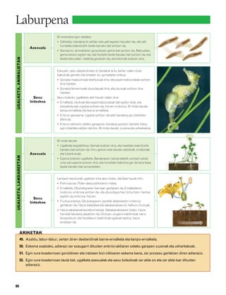 832926 _ 0064-0081.qxd                 21/2/08    13:22    Página 80




        Laburpena
                                                 Bi modutara egin daiteke:
                                                 • Zatiketaz: banakoa bi zatitan edo gehiagotan hausten da, eta zati
                                                   horietako bakoitzetik beste banako bat sortzen da.
                                 Asexuala
                                                 • Gemazioz: animaliaren gorputzean gema bat sortzen da. Batzuetan,
                                                   gema bereizi egiten da, eta hartatik beste banako bat sortzen da; eta
         UGALKETA, ANIMALIETAN




                                                   beste batzuetan, itsatsita geratzen da, eta koloniak eratzen dira.


                                                 Eskuarki, sexu desberdineko bi banakok aritu behar izaten dute:
                                                 bakoitzak gameto bat ematen du, gonadetan eratua.
                                                 • Gonada maskulinoak testikuluak dira, eta espermatozoideak sortzen
                                                   dira haietan.
                                                 • Gonada femeninoak obulutegiak dira, eta obuluak sortzen dira
                                                   haietan.
                                   Sexu          Sexu bidezko ugalketan aldi hauek izaten dira:
                                 bidezkoa        • Ernalketa: obuluak eta espermatozoideak bat egiten dute, eta
                                                   obozelula edo zigotoa sortzen da, horren ondorioz. Bi mota daude:
                                                   kanpo-ernalketa eta barne-ernalketa.
                                                 • Enbrioi-garapena: zigotoa sortzen denetik banakoa jaio bitarteko
                                                   aldia da.
                                                 • Enbrioi-aldiaren osteko garapena: banakoa jaiotzen denetik heldu
                                                   egin bitarteko aldiari deritzo. Bi mota daude: zuzena eta zeharkakoa.



                                                 Bi mota daude:
                                                 • Ugalketa begetatiboa. Gemak eratzen dira, eta haietako bakoitzetik
                                                   banako bat sortzen da. Hiru gema mota daude: estoloiak, erraboilak
                                 Asexuala          eta tuberkuluak.
         UGALKETA, LANDAREETAN




                                                 • Espora bidezko ugalketa. Banakoaren zelula batetik zenbait zelula
                                                   ume edo espora sortzen dira, eta horietako bakoitza gai da bere kasa
                                                   beste banako bat sorrarazteko.


                                                 Landare hazidunak ugaltzen dira sexu bidez, eta fase hauek ditu:
                                                 • Polinizazioa. Polen alea pistiloraino iristea.
                                                 • Ernalketa. Obulutegiaren barnean gertatzen da. Ernalketaren
                                                   ondorioz, enbrioia sortzen da, eta obulutegia hazi bihurtzen; hantxe
                                                   egoten da enbrioia, hazian.
                                   Sexu
                                 bidezkoa        • Fruitua eratzea. Obulutegiaren paretak aldatzearen ondorioz
                                                   gertatzen da. Hazia babestea eta sakabanatzea du helburu fruituak.
                                                 • Hazia sakabanatzea eta ernetzea. Sakabanatzearen bidez, hazia
                                                   hainbat lekutara zabaltzen da. Orduan, oxigeno-baldintzak nahiz
                                                   tenperatura- eta hezetasun baldintzak egokiak badira, hazia
                                                   ernetzen da.


                    ARIKETAK
                     49. Azaldu, labur-labur, zertan diren desberdinak barne-ernalketa eta kanpo-ernalketa.
                     50. Eskema osatzeko, adierazi zer ezaugarri dituzten enbrioi-aldiaren osteko garapen zuzenak eta zeharkakoak.
                     51. Egin zure koadernoan goroldioen eta iratzeen bizi-zikloaren eskema bana, zer prozesu gertatzen diren adieraziz.
                     52. Egin zure koadernoan taula bat, ugalketa asexualak eta sexu bidezkoak zer alde on eta zer alde txar dituzten
                         adieraziz.




        80
 