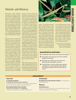 832926 _ 0064-0081.qxd        21/2/08     13:22    Página 81




                                                                                                                                                                   IRAKURLEAREN TXOKOA
        Maitale sakrifikatua
        Marisorgin emeek aldaketa               bospasei ordu ere irauten du
        handiak izaten dituzte udaren           batzuetan, eta denbora horretan
        azken aldean. Sabelaldea handi-         guztian, amoranteak elkartu eta
        tzen zaie, arrautzak heldu egiten       bereizi egiten dira zenbait aldiz.
        baitira, eta izaera, berez ere oldar-   Arraren ugaltze-ahalmena ahitu-
        korra, are agresiboagoa bihurtzen       ta dagoenean, emeak bat-batean
        da. Bi emek elkarri aurka egiten        bira egin eta garondotik heltzen
        diotenean, gatazka erakustaldi          dio. Orduan, arra burutik irens-      dituzte. 30 zentimetroko bidea        ditu. Emeak gorputza astindu,
        hutsa izaten da gehienetan: zeinek      ten hasten da, baina estalketa        egiteko, ordubetetik gora ematen      arra harrapatu eta haren burua
        bere trebetasun fisikoak erakutsi,      eten gabe, arraren behealdeko         dute. Emeari atzetik eta ezke-        irensten du; eta irenste horretan,
        apaintze aldera zenbait atzapar-        erdiak intseminatzen jarraitzen       rraldetik hurbiltzen zaie. Hutsegi-   nerbio-bidezko bitarteko berezi
        kada, iskanbila-ahalegin eta            baitu; eta horretan ahaleginduko      terik txikienak heriotza dakarkie,    bat kentzen dio arraren organis-
        erritu bihurtutako hainbat keinu        da, harik eta bikotekideak sabe-      edo are okerragoa dena, geneen        moari: sexu-organoetatik esperma-
        egin, eta bake-bakean amaitzen da       laldetik heldu eta sexu-organoak      herentziazko katea etetea. Azke-      rik irten dadin eragozten duena,
        dena, bietako batek atzera eginda.      ezdeus bihurtuko dizkion arte.        nean, emetik hurbil daudenean,        hain zuzen. Emeak jandakoaz
        […]                                     Gero, jada ernalduta egon arren,      bizkarretik estaltzen dute, azkar     gainerakoak ernalketa burutzen
                                                beste ar batzuek ere estal ditzaten   eta zehaztasun osoz. Mugimendu-       du, erantzun erreflexuen bidez.
        Bitartean, arrek ere sumatu dute        onartzen dute emeek; eta haiei
        betebeharraren deia, maitasuna-                                               rik arriskutsuena da: zerbaitean      Burua moztu ezean, erantzun
                                                ere, zeinek berea eman ondoren,       huts egin, eta akabo abentura.        horiek blokeatuta leudeke.
        rena baino areago. Abuztuaren           patu berbera egokituko zaie. Erru-
        bukaeran, emeei hurbiltzen zaiz-                                              Baina ez dute ihesbiderik. Bizirik    JOAQUÍN ARAUJO ETA BESTE ZENBAIT,
                                                naldia hurbil denean, gorteiatzera    irauteko sena indartsua izana-
        kie, kontu handiz eta era guztie-                                                                                       El reto de la vida. Enciclopedia
                                                irtendako ar inozoek penagarri        gatik ere, sen boteretsuago batek
        tako neurriak hartuz, gorteiatze                                                                                            Salvat del comportamiento
                                                ikusiko dute beren burua: xarma       espeziea iraunaraztera bultzatzen              animal. Salvat argitaletxea
        arriskutsuari ekitera. Haien ingu-      sexuala erabat galduta, harra-
        ruan noraezean ibiltzen dira,           pakin temati eta errazak baino ez
        jakin-minez eta errespetuz; baina       dira emeentzat. Horrenbestez,
        emeek, itxuraz behintzat, ez dute       araldiak irauten duen denbora-          IRAKURTZETIK ULERTZERA
        interes zipitzik ere erakusten. Bat-    tartean arrek ez dute inolako            53. Zer aldaketa izaten dituzte marisorginek uda partean?
        batean, nolabaiteko aditze bat          aukerarik emeren bat ernaldu eta
        sortzen da bi-bien artean; orduan,      gero ihes egiteko. Espermarekin          54. Zer gertatzen zaie marisorgin arrei eme ernalduak
        arra onartua sentitzen da, adorea       batera, bizia ematen dute.                   estaltzen ari direnean?
        hartzen du, hegoak zabaltzen
                                                […]                                      55. Deskribatu zer-nolakoa den marisorgin arrek
        ditu eta, jauzi eginez, bikotekide
                                                                                             eta emeek elkar gorteiatzeko prozesua.
        handiaren bizkarrari atxikitzen         Robert Burtonek aipatzen duenez,
        zaio, tinko. Hurbiltzeko gorteia-       bada marisorgin mota bat, arrari         56. Testuak dioenez, «bizirik irauteko sena indartsua
        tze-prozesu osoa oso motela da:         burua moztuz baino ugal ezin                 izanagatik ere, sen boteretsuago batek espeziea
        emea ez da batere harbera, eta          daitekeena. Marisorgin horietan,             iraunaraztera bultzatzen ditu». Zer esan nahi du
        ez du presarik; eta arra mesfidati      arrek hurbiltzeko mugimenduak                horrek?
        izaten da, arrazoi osoz. Estalketak     are kontu handiagoz egin behar



                                                                        ZABALBIDEAK
          Liburuak:                                                                    Artikuluak:
          La vida de las plantas                                                       El milagro de la vida: del beso al bebe. Oso interesgarria.
          JOHN SIMMONS. Espasa Calpe argitaletxea                                      2005eko abendua.
          Landareei eta haien erabilerei buruzko azalpen soilak ematen
          ditu, bai eta zenbait erreferentzia eta proiektu ere.                        Sarean:
          El comportamiento de los animales                                            www.quercus.es
          PAOLO CASALE. Editex, S. A. argitaletxea                                     Naturari eta ingurumenari buruzko gaiak lantzen dituen
          Animalien antolaketaren berri jakiteko eskuliburua                           dibulgazioko aldizkari interesgarria.




                                                                                                                                                             81
 