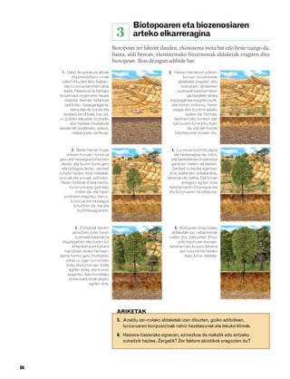 832926 _ 0082-0099.qxd   21/2/08    13:15      Página 86




                                                                       Biotopoaren eta biozenosiaren
                                                                3      arteko elkarreragina
                                                              Biotopoan zer faktore dauden, ekosistema mota bat edo beste izango da;
                                                              baina, aldi berean, ekosistemako biozenosiak aldaketak eragiten ditu
                                                              biotopoan. Ikus dezagun adibide bat:

                             1. Udan tenperatura altuak                                  2. Hamar-hamabost urteren
                                    eta prezipitazio urriak                                       buruan, biozenosiak
                            izaten dituzten leku batean,                                       aldaketak eragiten ditu
                               eta lurzorua kareharrizkoa                                        biotopoan: landareen
                              bada, litekeena da bertako                                       sustraiek kareharriaren
                           biozenosia organismo hauek                                                gainazaleko aldea
                               osatzea: likenek, belarkiek                                disgregatzea eragiten dute,
                               (adibidez, basagaragarra,                                   eta horren ondorioz, haren
                                   askia eta olo zoroa) eta                                osagai den buztina askatu
                              landare xerofiloek, hau da,                                           egiten da. Horrela,
                           ur gutxiko lekuetan bizitzeko                                     kareharrizko lurraren zati
                                   edo hazteko moldatuta                                    bat buztin-lurra bihurtzen
                           daudenek (esaterako, ezkaia,                                              da, eta zati horrek
                                    otabera eta izpilikua).                                  hezetasunari eusten dio.



                                   3. Beste hamar-hogei                                    4. Lurzorua buztintsuagoa
                               urteren buruan, lurzorua                                      eta hezexeagoa da, orain,
                           gero eta hezeagoa bihurtzen                                     eta bestelakoxe biozenosia
                            denez, eta buztin-lurra gero                                   garatzen hasten da bertan.
                            eta lodiagoa denez, zenbait                                    Zenbait zuhaixka agertzen
                          zuhaitz hazten dira: makalak,                                   dira; esaterako, arkakaratsa,
                          ipuruak eta pinuak, adibidez.                                 laharrak eta isatsa. Eta horiek
                            Haien hostoak direla medio,                                           areagotu egiten dute
                                 lurzorura argi gutxiago                                  kareharriaren disgregrazioa
                                     iristen da, eta haien                               eta lurzoruaren hezetasuna.
                             sustraien eraginez, berriz,
                                  lurzorua are hezeagoa
                                    bihurtzen da, bai eta
                                      buztintsuagoa ere.



                                     5. Zuhaitzek berdin                                     6. Biotopoan eragindako
                                   jarraitzen dute, haien                                  aldaketak oso nabarmenak
                                     sustraiek kareharria                                izaten dira, batzuetan. Ehun
                            disgregatzen eta buztin-lur                                        urte ingururen buruan,
                                  emankorraren lodiera                                    kareharrizko lurzoru lehorra
                             handitzen duten heinean;                                           zen hura klima hezeko
                           baina horrez gain, hostoetan                                            baso bihur daiteke.
                              zehar ur ugari lurruntzen
                              dute, eta lurzoruari itzala
                                egiten diote, eta horren
                               eraginez, leku horretako
                                klima-baldintzak aldatu
                                              egiten dira.




                                                                ARIKETAK
                                                                5. Azaldu zer-nolako aldaketak izan dituzten, goiko adibidean,
                                                                   lurzoruaren konposizioak nahiz hezetasunak eta lekuko klimak.
                                                                6. Hasiera-hasierako egoeran, ezinezkoa da makalik edo antzeko
                                                                   zuhaitzik haztea. Zergatik? Zer faktore abiotikok eragozten du?




        86
 