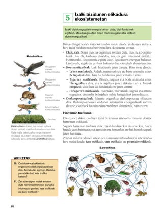 832926 _ 0082-0099.qxd      21/2/08   13:15    Página 88




                                                                     Izaki bizidunen elikadura
                                                              5      ekosistemetan

                                                             Izaki bizidun guztiek energia behar dute, bizi-funtzioak
                                                             egiteko, eta elikagaietan diren mantenugaietatik lortzen
                                                             dute energia hori.

                                                            Baina elikagai horiek lortzeko hainbat modu daude, eta horren arabera,
                                                            hiru izaki bizidun mota bereizten dira ekosistema orotan.
                                                            • Ekoizleak. Beren materia organikoa sortzen dute, materia ez-organi-
                        Kate trofikoa                          kotik; hau da, karbono dioxidoa, ura eta gatz mineralak erabiliz.
                                                               Horretarako, fotosintesia egiten dute, Eguzkiaren energiaz baliatuz.
                                                               Landareak, algak eta zenbait bakterio dira ekoizleak ekosistemetan.
                                          Hirugarren        • Kontsumitzaileak. Izaki bizidunak jaten dituzte. Hiru mota daude:
                                          mailako
                                          kontsumitzailea      – Lehen mailakoak. Ardiak, matxinsaltoak eta beste animalia asko.
                                                                  Belarjaleak dira; hau da, landareak janez elikatzen dira.
                                          Hirugarren           – Bigarren mailakoak. Otsoak, saguak eta beste animalia asko.
                                          mailako
                                                                  Haragijaleak dira, eta belarjaleak janez elikatzen dira. Batzuk
                                          kontsumitzailea
                                                                  orojaleak dira; hau da, landareak ere jaten dituzte.
                                                               – Hirugarren mailakoak. Esaterako, marrazoak, sugeak eta arrano
                                          Bigarren                sugezalea. Animalia belarjaleak nahiz haragijaleak jaten dituzte.
                                          mailako
                                          kontsumitzailea
                                                            • Deskonposatzaileak. Materia organikoa deskonposatuz elikatzen
                                                               dira. Deskonposizioaren ondorioz substantzia ez-organikoak sortzen
                                          Lehen mailako        dituzte; ekoizleek fotosintesian erabiltzen dituztenak, hain zuzen.
                                          kontsumitzailea
                                                            Harreman trofikoak

                                            Ekoizlea
                                                            Elkar janez elikatzen diren izaki bizidunen arteko harremanei deritze
                                                            harreman trofikoak.
        Kate trofikoen bidez, harreman trofikoa             Saguek harreman trofikoa dute zereal-landareekin eta arteekin, haien
        duten zenbait izaki bizidun adierazten dira.        haziak jaten baitituzte; eta azeriekin eta hontzekin ere bai, horiek saguak
        Kate-maila bakoitza hurrengo mailaren               jaten baitituzte.
        elikagaia da. Elkarri lotutako zenbait kate
        adieraziz gero, emaitza sare trofiko bat da.        Zenbait izaki bizidunen artean zer harreman trofiko dauden adierazteko
                                                            hiru modu daude: kate trofikoak, sare trofikoak eta piramide trofikoak.
                                                                                          Sare trofikoa



             ARIKETAK
             10. Onddoak eta bakterioak
                 organismo deskonposatzaileak
                 dira. Zer lekutan egongo litzateke
                 perretxiko bat, kate trofiko
                 batean?
             11. Zer adierazpen motek ematen
                 dute harreman trofikoei buruzko
                 informazio gehien, kate trofikoek
                 ala sare trofikoek?




        88
 