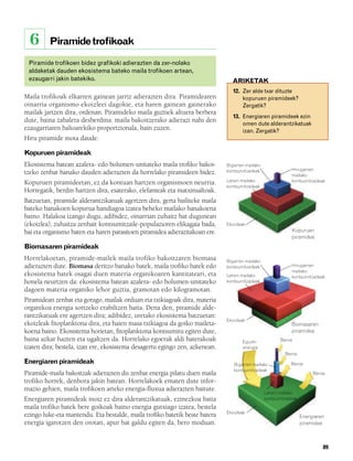 832926 _ 0082-0099.qxd   21/2/08   13:15   Página 89




          6      Piramide trofikoak

          Piramide trofikoen bidez grafikoki adierazten da zer-nolako
          aldaketak dauden ekosistema bateko maila trofikoen artean,
          ezaugarri jakin batekiko.                                                    ARIKETAK
                                                                                        12. Zer alde txar dituzte
        Maila trofikoak elkarren gainean jarriz adierazten dira. Piramidearen               kopuruen piramideek?
        oinarria organismo ekoizleei dagokie, eta haren gainean gainerako                   Zergatik?
        mailak jartzen dira, ordenan. Piramideko maila guztiek altuera berbera
                                                                                        13. Energiaren piramideek ezin
        dute, baina zabalera desberdina: maila bakoitzerako adierazi nahi den
                                                                                            omen dute alderantzikatuak
        ezaugarriaren balioarekiko proportzionala, hain zuzen.                              izan. Zergatik?
        Hiru piramide mota daude:

        Kopuruen piramideak
        Ekosistema batean azalera- edo bolumen-unitateko maila trofiko bakoi-        Bigarren mailako
                                                                                     kontsumitzaileak                Hirugarren
        tzeko zenbat banako dauden adierazten da horrelako piramideen bidez.                                         mailako
                                                                                     Lehen mailako                   kontsumitzaileak
        Kopuruen piramideetan, ez da kontuan hartzen organismoen neurria.
                                                                                     kontsumitzaileak
        Horregatik, berdin hartzen dira, esaterako, elefanteak eta matxinsaltoak.
        Batzuetan, piramide alderantzikatuak agertzen dira, gerta bailiteke maila
        bateko banakoen kopurua handiagoa izatea beheko mailako banakoena
        baino. Halakoa izango dugu, adibidez, oinarrian zuhaitz bat dugunean
        (ekoizlea), zuhaitza zenbait kontsumitzaile-populazioren elikagaia bada,     Ekoizleak
        bai eta organismo baten eta haren parasitoen piramidea adierazitakoan ere.                                   Kopuruen
                                                                                                                     piramidea
        Biomasaren piramideak
        Horrelakoetan, piramide-mailek maila trofiko bakoitzaren biomasa             Bigarren mailako
        adierazten dute. Biomasa deritzo banako batek, maila trofiko batek edo       kontsumitzaileak                Hirugarren
                                                                                                                     mailako
        ekosistema batek osagai duen materia organikoaren kantitateari, eta          Lehen mailako                   kontsumitzaileak
        honela neurtzen da: ekosistema batean azalera- edo bolumen-unitateko         kontsumitzaileak
        dagoen materia organiko lehor guztia, gramotan edo kilogramotan.
        Piramidean zenbat eta gorago, mailak orduan eta txikiagoak dira, materia
        organikoa energia sortzeko erabiltzen baita. Dena den, piramide alde-
        rantzikatuak ere agertzen dira; adibidez, uretako ekosistema batzuetan:
                                                                                     Ekoizleak
        ekoizleak fitoplanktona dira, eta haien masa txikiagoa da goiko maileta-                                     Biomasaren
        koena baino. Ekosistema horietan, fitoplanktona kontsumitu egiten dute,                                      piramidea
        baina azkar hazten eta ugaltzen da. Horrelako egoerak aldi baterakoak               Eguzki-            Beroa
        izaten dira; bestela, izan ere, ekosistema desagertu egingo zen, azkenean.          energia
                                                                                                                  Beroa
        Energiaren piramideak                                                           Bigarren mailako             Beroa
                                                                                        kontsumitzaileak
        Piramide-maila bakoitzak adierazten du zenbat energia pilatu duen maila                                                 Beroa
        trofiko horrek, denbora jakin batean. Horrelakoek ematen dute infor-
        mazio gehien, maila trofikoen arteko energia-fluxua adierazten baitute.
                                                                                                        Lehen mailako
        Energiaren piramideak inoiz ez dira alderantzikatuak, ezinezkoa baita                           kontsumitzaileak
        maila trofiko batek bere goikoak baino energia gutxiago izatea, bestela
                                                                                     Ekoizleak
        ezingo luke-eta mantendu. Eta bestalde, maila trofiko batetik beste batera                                         Energiaren
        energia igarotzen den orotan, apur bat galdu egiten da, bero moduan.                                               piramidea



                                                                                                                                    89
 