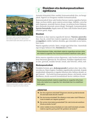 832926 _ 0082-0099.qxd     21/2/08    13:15   Página 90




                                                                   Ekoizleen eta deskonposatzaileen
                                                            7      eginkizuna
                                                          Animalia belarjaleak lehen mailako kontsumitzaileak dira, eta haragi-
                                                          jaleak, bigarren eta hirugarren mailako kontsumitzaileak.
                                                          Kontsumitzaileok beste izaki bizidun batzuen materia organikoa hartzen
                                                          dugu, eta hura erabiliz, geure materia sortzen dugu. Adibidez, xerra bat
                                                          jaten dugunean, proteinak hartzen ditugu, eta proteina horiez baliatuta,
                                                          gure ehunetako proteinak sortzen ditugu. Horregatik, kontsumitzaileok
                                                          nutrizio heterotrofoa dugula esaten da: beste izaki bizidun batzuk janez
                                                          elikatzen garela, alegia.

                                                          Ekoizleak
        Ekoizleek materia organikoa sortzen dute,         Ekoizleek ez dute materia organikorik hartzen. Nutrizio autotrofoa
        eta materia organiko hori izaki bizidun           dute; hau da, zeinek bere materia organikoa sortzen du, substantzia
        batzuetatik beste batzuetara igarotzen da.        ez-organikoak erabiliz: karbono dioxidoa, gatz mineralak eta ura hartuz,
                                                          hain zuzen.
                                                          Materia organikoa sortzeko, baina, energia ugari behar dute. Autotrofoak
                                                          argi-energiaz baliatzen dira, fotosintesiaren bidez.

                                                           Fotosintesiaren bidez, ekoizleek materia organikoa sortzen dute,
                                                           eta materia organiko hori kontsumitzaileek erabiltzen dute, gero.

                                                          Behin materia organikoa sortuta dagoenean, izaki bizidun batzuetatik
                                                          beste batzuetara igarotzen da. Eta azkenean, hondakin organikoak eratu-
                                                          ko ditu: gorotzak, mudako larruak, lumak, adar lehorrak, orbela, etab.

                                                          Deskonposatzaileak
                                                          Hondakin horietan, gero, deskonposatzaileek jarduten dute, haiez elika-
                                                          tzen dira-eta. Haien eraginez, hondakin organikoetako proteinak, koipeak
                                                          eta gluzidoak substantzia ez-organiko bihurtzen dira: karbono dioxido, ur,
                                                          gatz mineral… Eta horiek lurzoruan geratzen direnez, edo bestela, uretan
                                                          disolbatuta, ekoizle autotrofo fotosintetikoek berriro erabiltzen dituzte.

                                                           Deskonposatzaileek materia organikoa ez-organiko bihurtzen
                                                           dute, eta materia ez-organiko hori ekoizleek berriro erabiltzen
        Deskonposatzaileek hondakin organikoak             dute, gero.
        materia ez-organiko bihurtzen dituzte.


                                                            ARIKETAK
                                                            14. Zer dira organismo ekoizleak? Organismo ekoizle guztiak landareak
                                                                dira ala bada beste ekoizle motarik?
                                                            15. Zer dira kontsumitzaileak? Zer elikadura mota izaten dute? Elikadura
                                                                mota horietatik zein dagokio gizakiari?
                                                            16. Zer sortzen dute deskonposatzaileek? Zer izaki bizidunek erabiltzen
                                                                dituzte produktu horiek?
                                                            17. Lehen mailako kontsumitzaileek ezin dute erabili ekoizleek sortutako
                                                                materia organiko guzti-guztia? Zer gertatzen da harekin?




        90
 