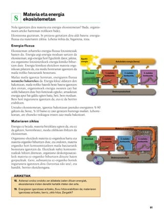 832926 _ 0082-0099.qxd   21/2/08   13:15   Página 91




                  Materia eta energia
          8       ekosistemetan
        Nola igarotzen dira materia eta energia ekosistemetan? Bada, organis-
        moen arteko harreman trofikoen bidez.
        Ekosistema guztietan, bi prozesu gertatzen dira aldi batera: energia-
        fluxua eta materiaren zikloa. Lehena irekia da; bigarrena, itxia.

        Energia-fluxua
        Ekosisteman zeharreko energia-fluxua fotosintesiak
        hasten du. Energia argi-energia moduan sartzen da
        ekosisteman; argi-energia hori Eguzkitik dator, jakina, Eguzki-
        eta organismo fotosintetikoek energia kimiko bihur- energia                                    Askatutako energia (beroa)
        tzen dute. Energia kimikoa ekoizleen materia orga-
        nikoan pilatzen da, eta modu horrexetan igarotzen da
        maila trofiko batzuetatik besteetara.                       Ekoizleak             1. mailako             2. mailako          3. mailako
                                                                                         kontsumitz.            kontsumitz.         kontsumitz.
        Mailaz maila igarotze horretan, energiaren fluxua
        noranzko bakarrekoa da. Energia lekuz aldatzen den
        bakoitzean, maila trofiko batetik beste batera igarotzen
        den orotan, organismoek energia osoaren zati bat
        soilik baliatzen dute bizi-funtzioak egiteko, arnasketan                                    Deskonposatzaileak

        energia apur bat galdu egiten baita, beti, bero moduan.
        Bero hori ingurunera igarotzen da, eta ez da berriro
        erabiltzen.
        Uretako ekosistemetan, igarotze bakoitzean jasotako energiaren % 90
        galtzen da; beraz, % 10 baino ez zaio geratzen hurrengo mailari. Lehorre-
        koetan, are ehuneko txikiagoa iristen zaio maila bakoitzari.

        Materiaren zikloa
        Energia ez bezala, materia birziklatu egiten da, eta ez
                                                                                                       Materia ez-organikoa
        da galtzen; horrenbestez, modu ziklikoan ibiltzen da
        ekosisteman.
        Organismo ekoizleek materia ez-organikoa hartu eta              Ekoizleak      1. mailako            2. mailako        3. mailako
        materia organiko bihurtzen dute, eta ondoren, materia                         kontsumitz.           kontsumitz.       kontsumitz.

        organiko hori kontsumitzaileen maila batzuetatik
        besteetara igarotzen da. Ekoizleak nahiz kontsumi-
        tzaileak hiltzen direnean, organismo deskonposatzai-
        leek materia ez-organiko bihurtzen dituzte haien                                       Deskonposatzaileak
        gorpuzkiak. Gero, substantzia ez-organiko horiek
        ingurunera igarotzen dira (lurzorua edo ura), eta
        handik, berriro ekoizleengana.

          ARIKETAK
          18. Adierazi ondoz ondoko zer aldaketa izaten dituen energiak,
              ekosistemara iristen denetik hartatik irteten den arte.
          19. Energiaren igarotzeaz aritzeko, fluxu hitza erabiltzen da; materiaren
              igarotzeaz aritzeko, berriz, ziklo hitza. Zergatik?




                                                                                                                                            91
 