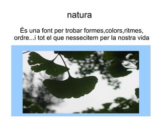natura És una font per trobar formes,colors,ritmes, ordre...i tot el que nessecitem per la nostra vida 