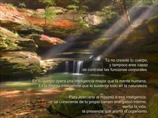Tú no creaste tu cuerpo, y tampoco eres capaz de controlar las funciones corporales. En tu cuerpo opera una inteligencia mayor que la mente humana.  Es la misma inteligencia que lo sustenta todo en la naturaleza. Para acercarte al máximo a esa inteligencia,  sé consciente de tu propio campo energético interno,  siente la vida,  la presencia que anima el organismo. 