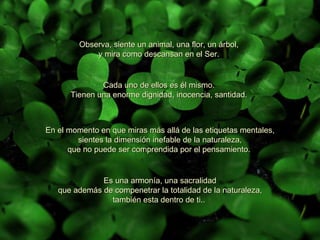 Observa, siente un animal, una flor, un árbol,  y mira como descansan en el Ser.  Es una armonía, una sacralidad que además de compenetrar la totalidad de la naturaleza, también esta dentro de ti..  Cada uno de ellos es él mismo.  Tienen una enorme dignidad, inocencia, santidad.  En el momento en que miras más allá de las etiquetas mentales, sientes la dimensión inefable de la naturaleza, que no puede ser comprendida por el pensamiento.  