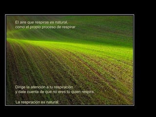 La respiración es natural.  El aire que respiras es natural,  como el propio proceso de respirar Dirige la atención a tu respiración  y date cuenta de que no eres tú quien respira.  
