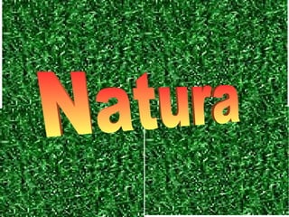 Natura