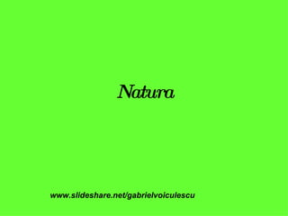 Natura www.slideshare.net/gabrielvoiculescu 