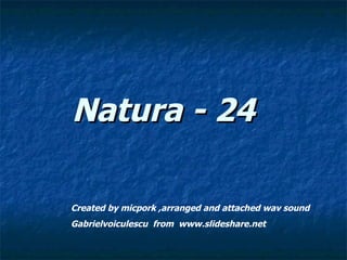Natura - 24 Created by micpork ,arranged and attached wav sound Gabrielvoiculescu  from  www.slideshare.net 