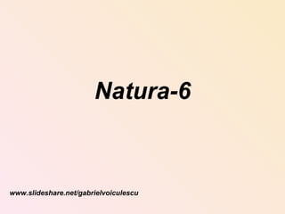 Natura-6 www.slideshare.net/gabrielvoiculescu 