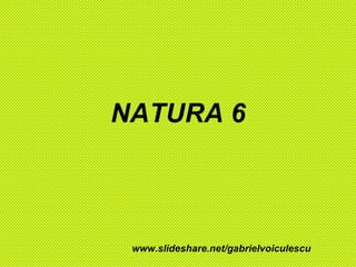 NATURA 6 www.slideshare.net/gabrielvoiculescu 