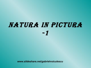 Natura in pictura -1 www.slideshare.net/gabrielvoiculescu 
