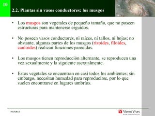 2.2. Plantas sin vasos conductores: los musgos Los  musgos  son vegetales de pequeño tamaño, que no poseen estructuras para mantenerse erguidos. No poseen vasos conductores, ni ra í ces, ni tallos, ni hojas; no obstante, algunas partes de los musgos ( rizoides ,  filoides ,  cauloides ) realizan funciones parecidas . Los musgos tienen reproducción alternante, se reproducen una vez sexualmente y la siguiente asexualmente. Estos vegetales se encuentran en casi todos los ambientes; sin embargo, necesitan humedad para reproducirse, por lo que suelen encontrarse en lugares umbr íos. 10 