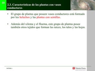 2.3. Caracter ísticas de las plantas con vasos conductores El grupo de plantas que poseen vasos conductores est á formado por los  helechos  y las  plantas con semillas . Adem ás del xilema y el floema, este grupo de plantas posee también otros tejidos que forman las raíces, los talos y las hojas. 10 