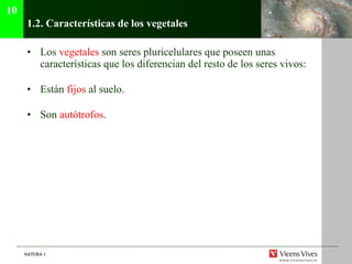 1.2. Caracter ísticas de los vegetales Los  vegetales  son seres pluricelulares que poseen unas caracter ísticas que los diferencian del resto de los seres vivos: Est án  fijos  al suelo. Son  aut ótrofos . 10 