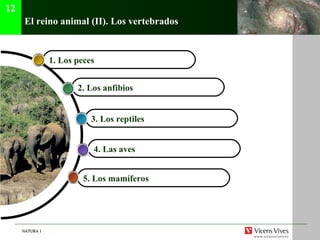 El reino animal (II). Los vertebrados 5. Los mam íferos   4. Las aves   3. Los reptiles   2. Los anfibios 1. Los peces  12 