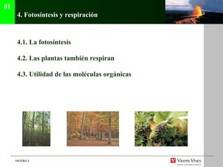 4.  Fotos íntesis y respiración 4.1.  La fotosíntesis 4.2.  Las plantas también respiran 4.3. Utilidad de las moléculas orgánicas 01 