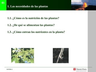 1.  Las necesidades de las plantas   1.1.  ¿Cómo es la nutrición de las plantas? 1.2. ¿De qué se alimentan las plantas? 1.3. ¿Cómo entran los nutrientes en la planta? 01 
