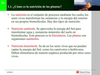 1.1.  ¿Cómo es la nutrición de las plantas? La  nutrición   es el conjunto de procesos mediante los cuales los seres vivos transforman las sustancias y la energía del exterior en sus propias biomoléculas. Hay dos tipos de nutrición: Nutrición autótrofa.   Se aprovecha la energía del Sol para transformar agua y sustancias minerales del suelo en biomoléculas. Este proceso es la   fotosíntesis . Las  plantas  son organismos  autótrofos . Nutrición heterótrofa.   Se da en los seres vivos que no pueden captar la energía del Sol, como los carnívoros o herbívoros. Deben alimentarse de materia orgánica producida por otros seres vivos. 01 