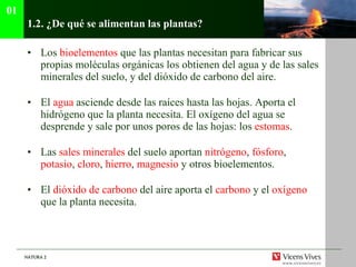 1.2.  ¿De qué se alimentan las plantas? Los  bioelementos  que las plantas necesitan para fabricar sus propias moléculas orgánicas los obtienen del agua y de las sales minerales del suelo, y del dióxido de carbono del aire . El  agua  asciende desde las raíces hasta las hojas. Aporta el hidrógeno que la planta necesita. El oxígeno del agua se desprende y sale por unos poros de las hojas: los  estomas . Las  sales minerales  del suelo aportan  nitrógeno ,  fósforo ,  potasio ,  cloro ,  hierro ,  magnesio  y otros bioelementos. El  dióxido de carbono  del aire aporta el  carbono  y el  oxígeno  que la planta necesita. 01 