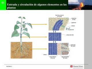 Entrada y circulación de algunos elementos en las plantas 01 