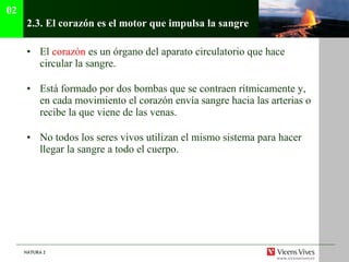 2.3.  El corazón es el motor que impulsa la sangre El  corazón  es un órgano del aparato circulatorio que hace circular la sangre. Está formado por dos bombas que se contraen rítmicamente y, en cada movimiento el corazón envía sangre hacia las arterias o recibe la que viene de las venas. No todos los seres vivos utilizan el mismo sistema para hacer llegar la sangre a todo el cuerpo. 02 