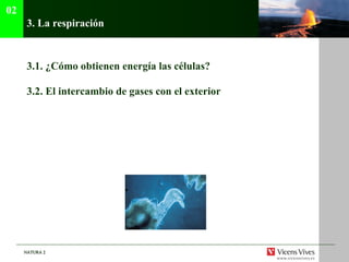3.  La respiraci ón 3.1.  ¿Cómo obtienen energía las células? 3.2. El intercambio de gases con el exterior 02 