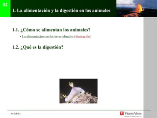 1.  La alimentaci ón y la digestión en los animales   1.1.  ¿Cómo se alimentan los animales? •  La alimentación en los invertebrados ( ilustraci ón ) 1.2.  ¿Qué es la digestión? 02 