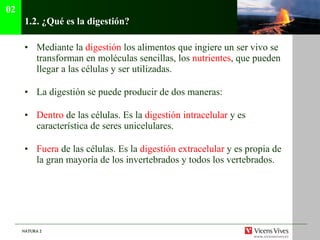 1.2.  ¿Qué es la digestión?   Mediante la  digestión  los alimentos que ingiere un ser vivo se transforman en moléculas sencillas, los  nutrientes , que pueden llegar a las células y ser utilizadas. La digestión se puede producir de dos maneras:  Dentro  de las células. Es la  digestión intracelular  y es característica de seres unicelulares. Fuera  de las células. Es la  digestión extracelular  y es propia de la gran mayoría de los invertebrados y todos los vertebrados. 02 