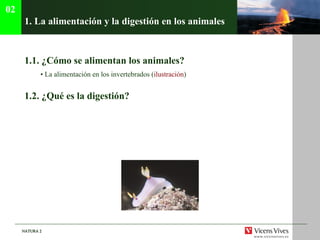 1.  La alimentaci ón y la digestión en los animales   1.1.  ¿Cómo se alimentan los animales? •  La alimentación en los invertebrados ( ilustraci ón ) 1.2.  ¿Qué es la digestión? 02 