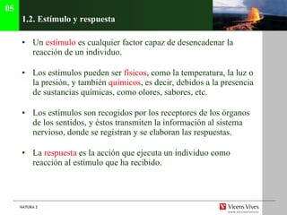 1.2.  Estímulo y respuesta Un  estímulo  es cualquier factor capaz de desencadenar la reacción de un individuo. Los estímulos pueden ser  físicos , como la temperatura, la luz o la presión, y también  químicos , es decir, debidos a la presencia de sustancias químicas, como olores, sabores, etc. Los estímulos son recogidos por los receptores de los órganos de los sentidos, y éstos transmiten la información al sistema nervioso, donde se registran y se elaboran las respuestas. La  respuesta  es la acción que ejecuta un individuo como reacción al estímulo que ha recibido. 05 