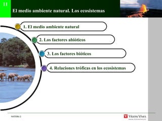 El medio ambiente natural. Los ecosistemas 11 4.  Relaciones tr óficas en los ecosistemas 1. El medio ambiente natural  3.  Los factores bi óticos   2.  Los factores abi óticos   