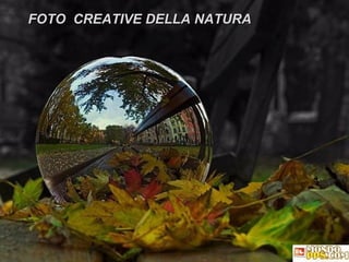 [email_address] FOTO  CREATIVE DELLA NATURA 
