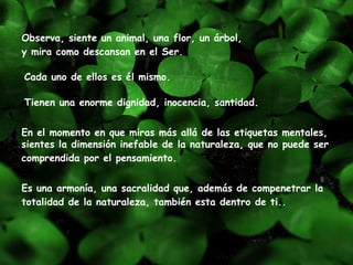 Observa, siente un animal, una flor, un árbol,  y mira como descansan en el Ser.      Es una armonía, una sacralidad que, además de compenetrar la totalidad de la naturaleza, también esta dentro de ti..     Cada uno de ellos es él mismo.   Tienen una enorme dignidad, inocencia, santidad.   En el momento en que miras más allá de las etiquetas mentales, sientes la dimensión inefable de la naturaleza, que no puede ser comprendida por el pensamiento.      