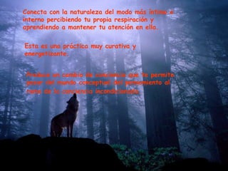 Conecta con la naturaleza del modo más íntimo e interno percibiendo tu propia respiración y aprendiendo a mantener tu atención en ella. Esta es una práctica muy curativa y energetizante. Produce un cambio de conciencia que te permite pasar del mundo conceptual del pensamiento al ramo de la conciencia incondicionada.   