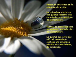 Pensar es una etapa en la evolución de la vida.   La naturaleza existe en una quietud inocente que es anterior a la aparición del pensamiento. Cuando los seres humanos se aquietan, van más allá del pensamiento.   La quietud que esta más allá del pensamiento contiene una dimensión añadida de conocimiento, de conciencia.   