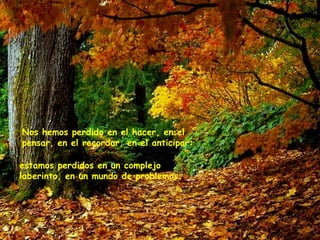 Nos hemos perdido en el hacer, en el pensar, en el recordar, en el anticipar: estamos perdidos en un complejo laberinto, en un mundo de problemas.   