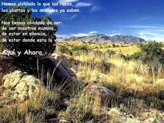 Hemos olvidado lo que las rocas,  las plantas y los animales ya saben.     Nos hemos olvidado de ser:  de ser nosotros mismos,  de estar en silencio,  de estar donde esta la vida:   Aquí y Ahora. 