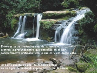 Al darte cuenta de ello, tú también entras  en un lugar de profundo reposo dentro de ti mismo. Entonces se te transmite algo de su esencia.   Sientes lo profundamente que descansa en el Ser,  completamente unificado  con lo que es y con donde esta.   