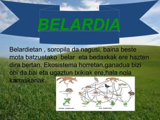 BELARDIA
Belardietan , soropila da nagusi, baina beste
mota batzuetako belar eta bedaxkak ere hazten
dira bertan. Ekosistema horretan,ganadua bizi
ohi da,bai eta ugaztun txikiak ere,hala nola
karraskariak.
 