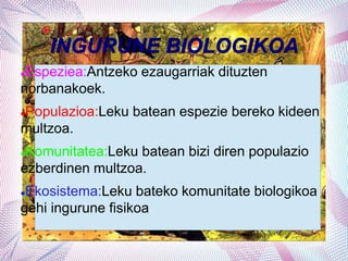 INGURUNE BIOLOGIKOA
Espeziea:Antzeko ezaugarriak dituzten
norbanakoek.
Populazioa:Leku batean espezie bereko kideen
multzoa.
Komunitatea:Leku batean bizi diren populazio
ezberdinen multzoa.
Ekosistema:Leku bateko komunitate biologikoa
gehi ingurune fisikoa
 