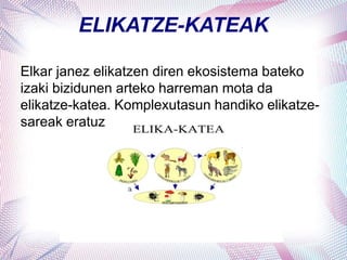 ELIKATZE-KATEAK
Elkar janez elikatzen diren ekosistema bateko
izaki bizidunen arteko harreman mota da
elikatze-katea. Komplexutasun handiko elikatze-
sareak eratuz
 