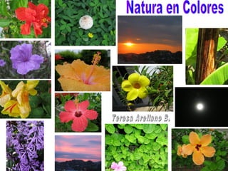 Natura en colores 4